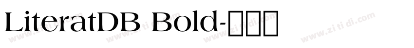 LiteratDB Bold字体转换 LiteratDB Bold字体转换